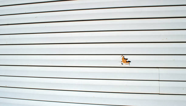 Best Wood Siding Installation  in Ruleville, MS