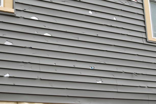 Best Aluminum Siding Installation  in Ruleville, MS